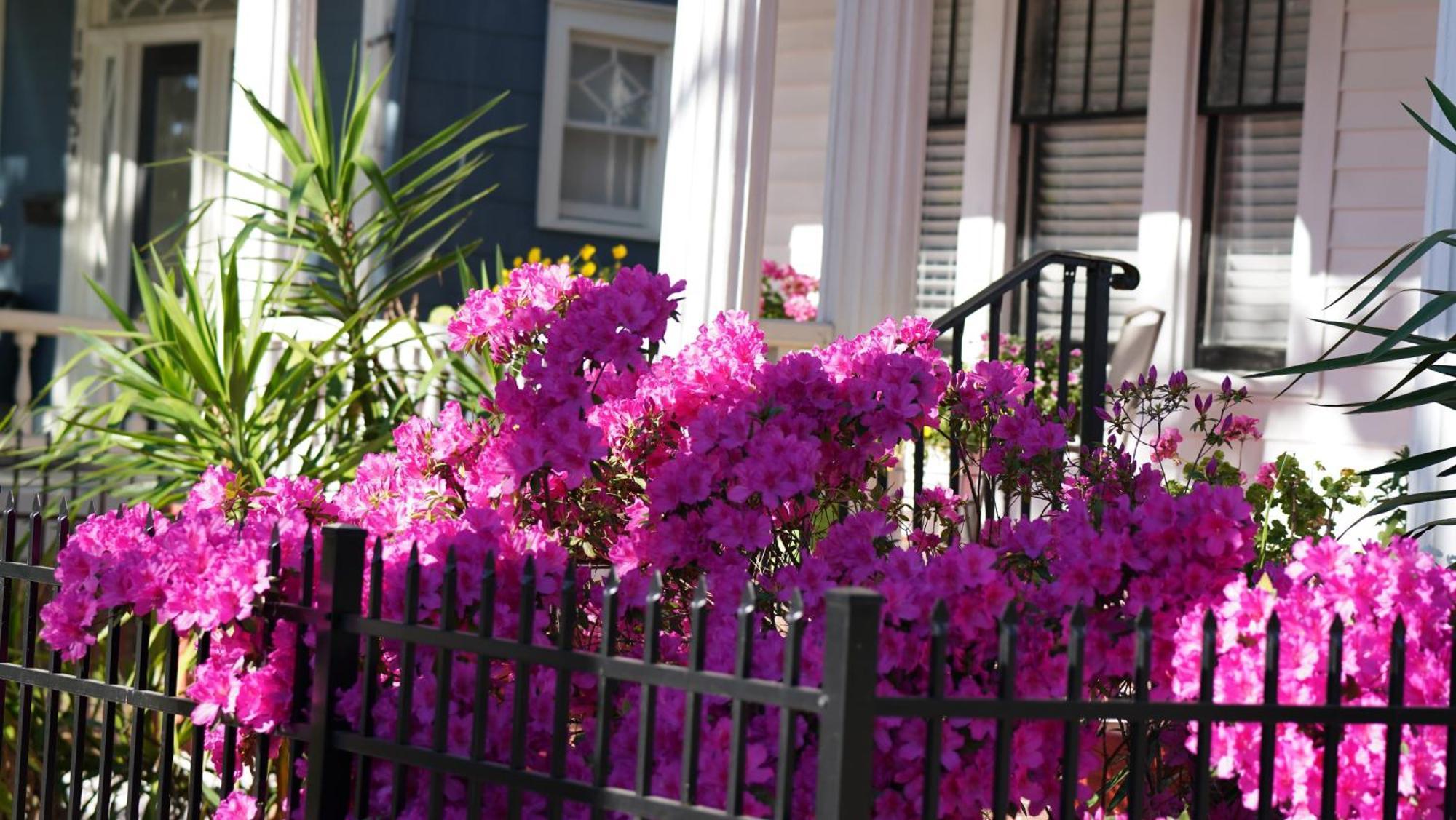 5 Bedroom Downtown Savannah Ga Bagian luar foto
